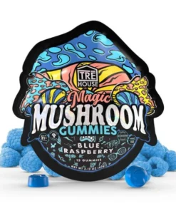 best mushroom gummies